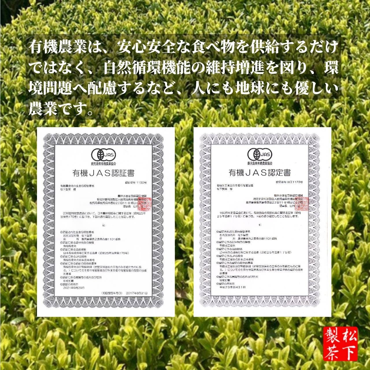【2022年産/希少品種】種子島の有機緑茶『松寿』 茶葉(リーフ) 100g-5