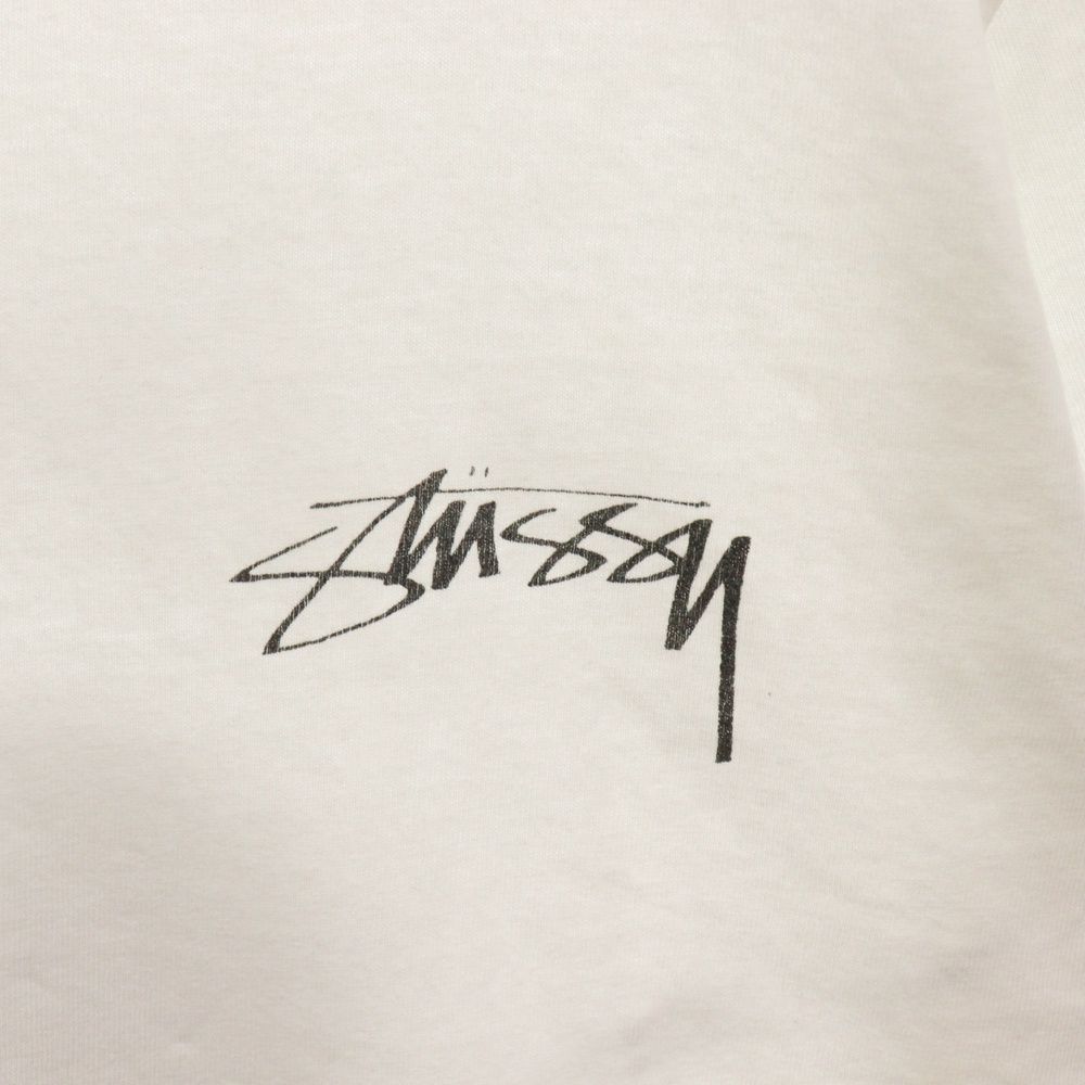 STUSSY (ステューシー) ARACHNID PIG.DYED TEE フロント バック