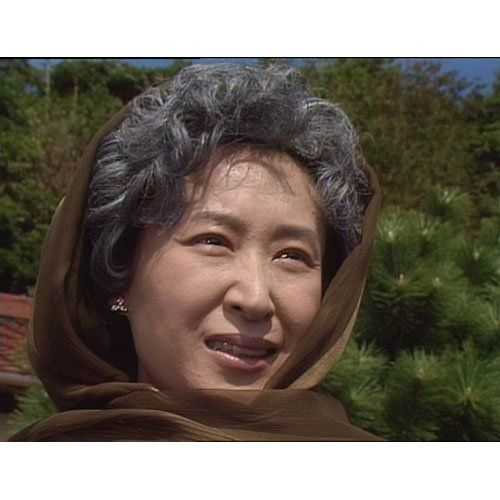 新品未開封】三田佳子主演 大河ドラマ いのち 完全版 第弐集【NHK 