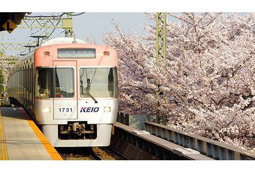 京王 1000系　サーモンピンク　改良品　５両セット 京王1000系（6次車・サーモンピンク）5両 | 鉄道模型店