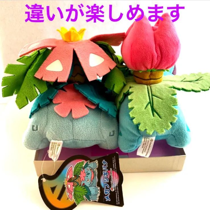フシギバナ 考察 リザードン カメックス フシギバナ 25th プロモ