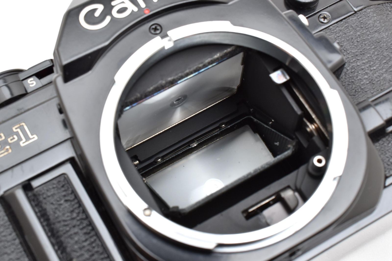 ボディ ブラック