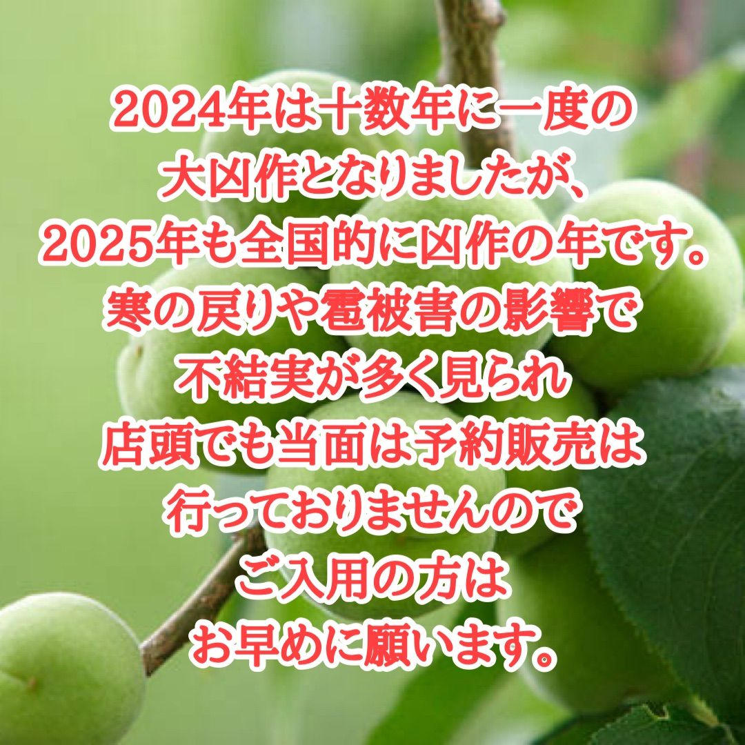 01.隣県限定 常温 10kg 山形県産 谷沢梅 完熟 中熟 梅ジャム ジュース 10kg・隣県限定 常温】山形県産 谷沢梅 完熟 中熟 梅ジャム