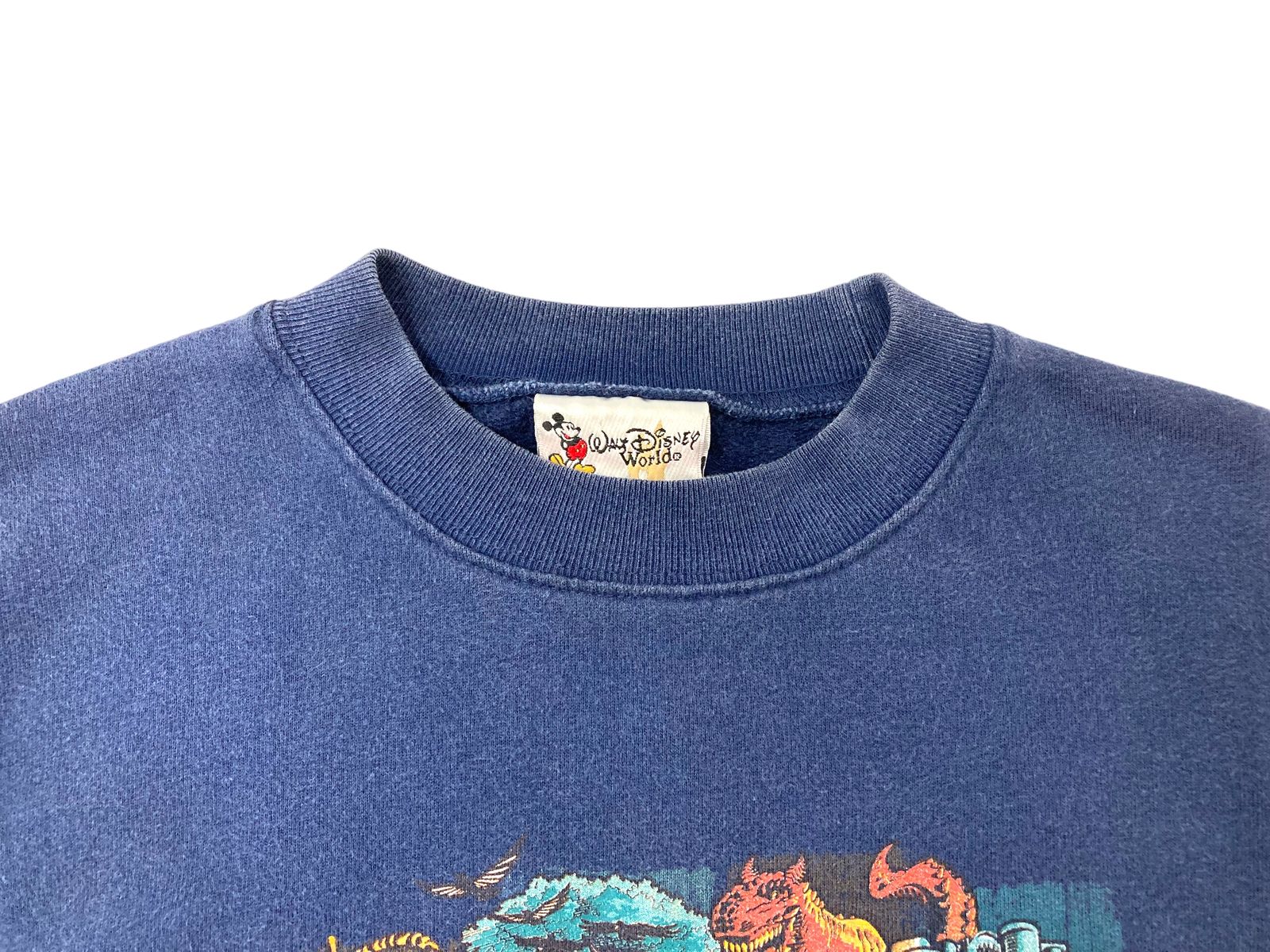 Disney (ディズニー) 古着 Walt Disney World ANIMAL KINGDOM