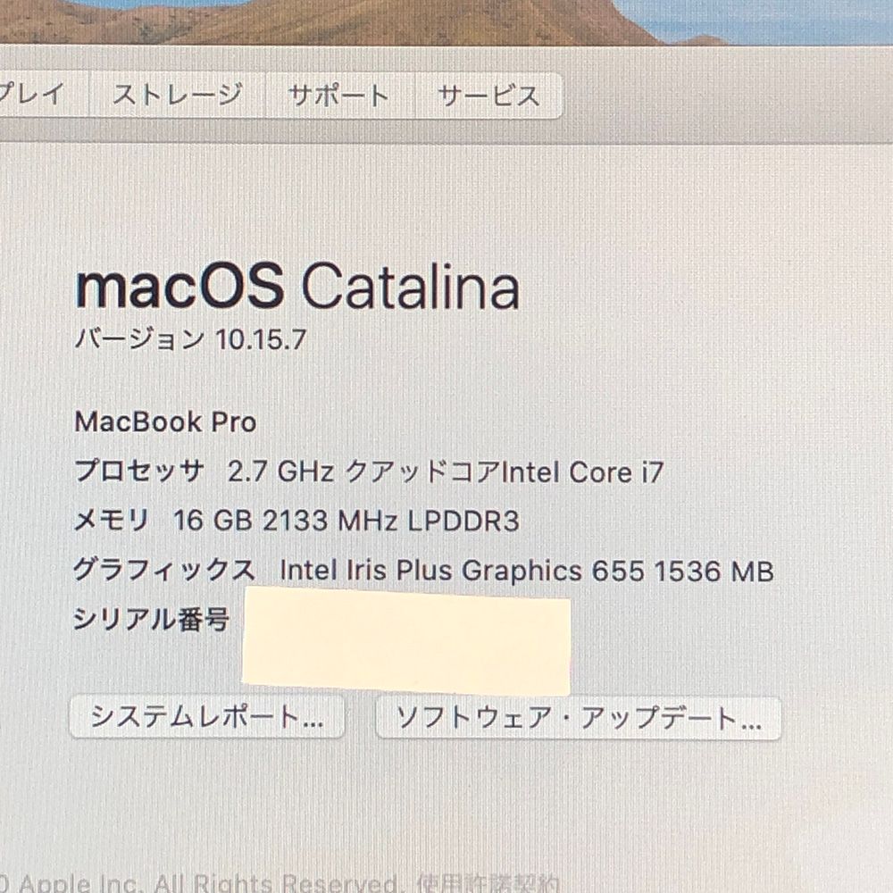 ジャンク品・本体のみApple MacBook Pro (13インチ 2018