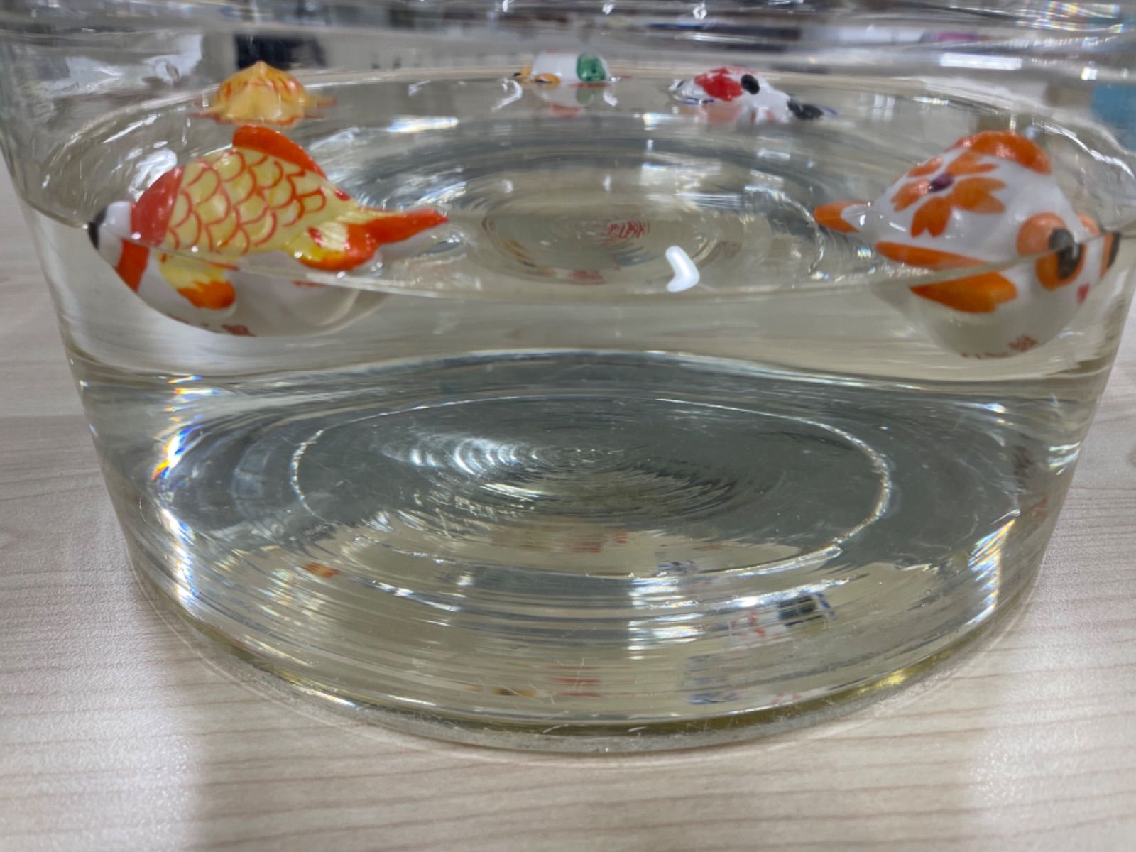 【理科室の備品】丸型水槽