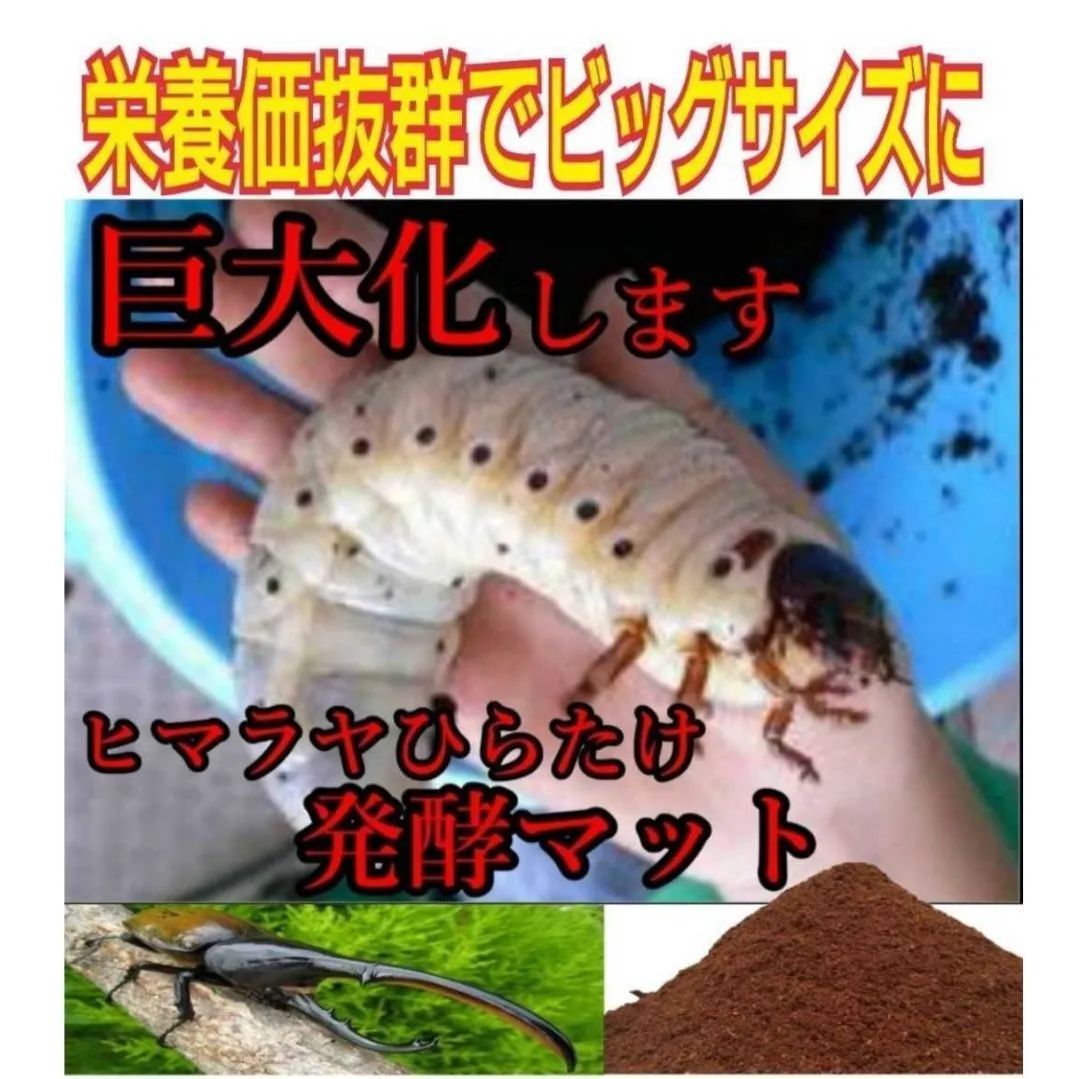 カブトムシ幼虫の餌　産卵にも抜群！　 改良版☆ヒマラヤひらたけ発酵マット【30リットル】完全室内製造で雑虫混入が100％ありません！栄養価たっぷりで大きくなります！　 保存にも便利なチャック付き袋　国産カブトムシにお薦め！