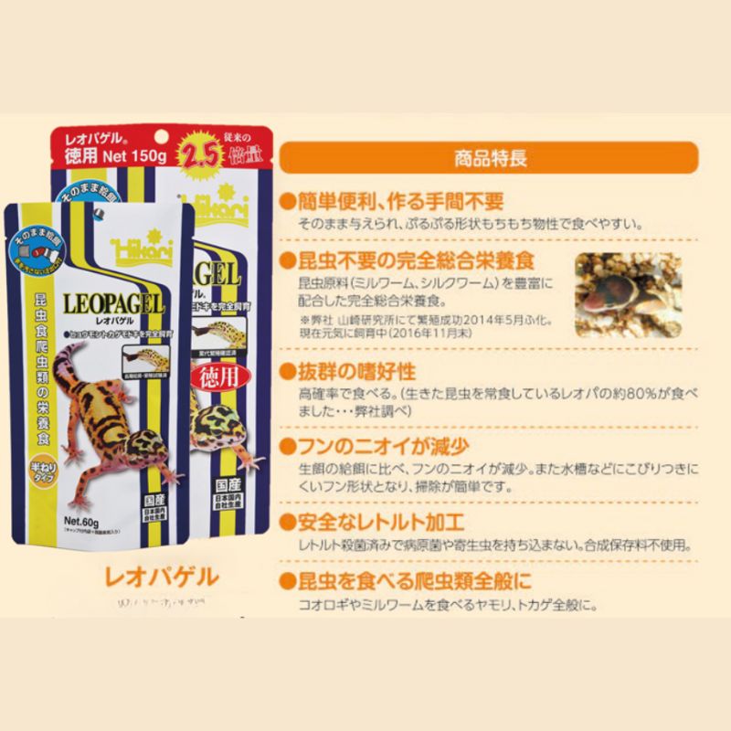 爬虫類