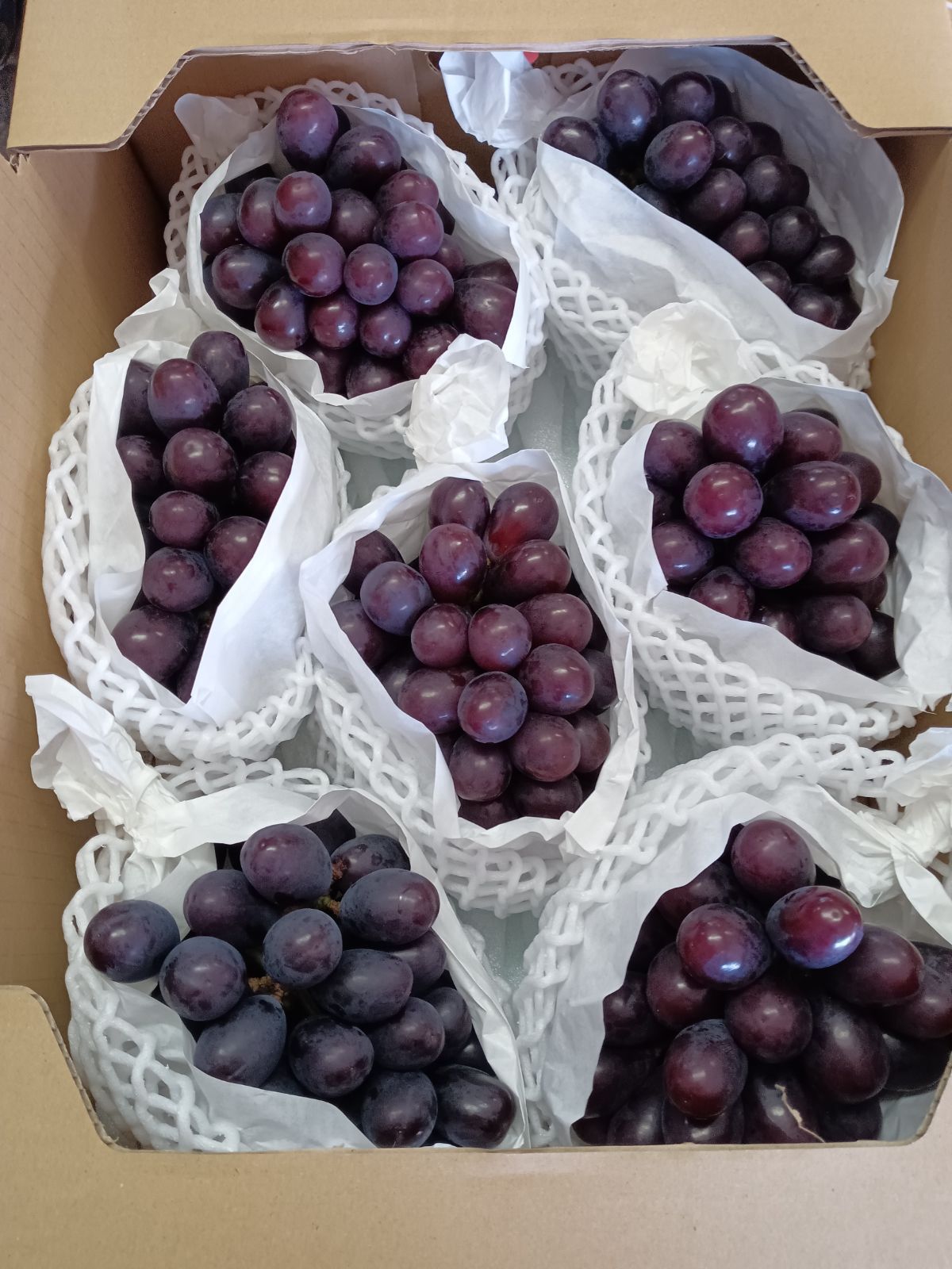 大分県日田産 マスカットノワール 種無しぶどう 皮ごと食べられます 7房