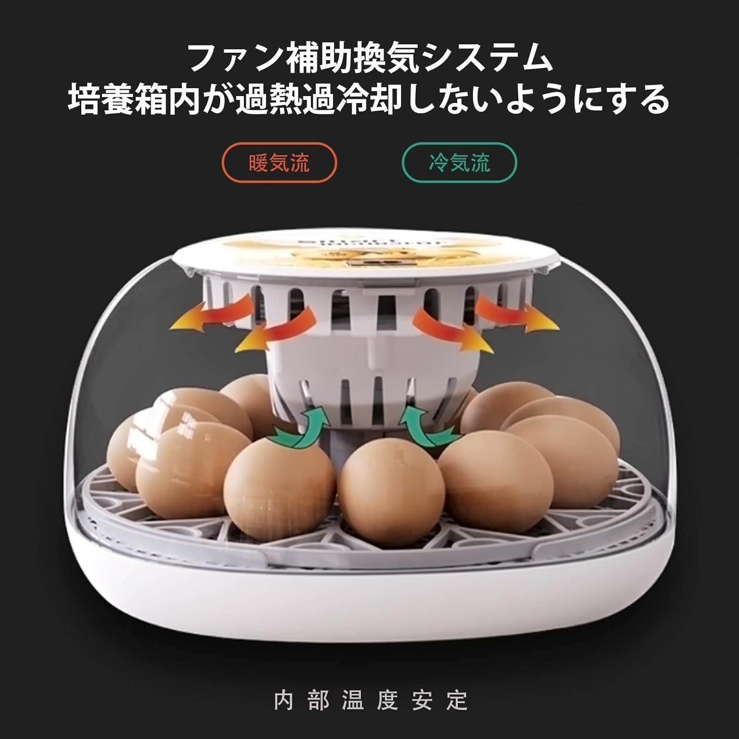 孵卵機 恒温器