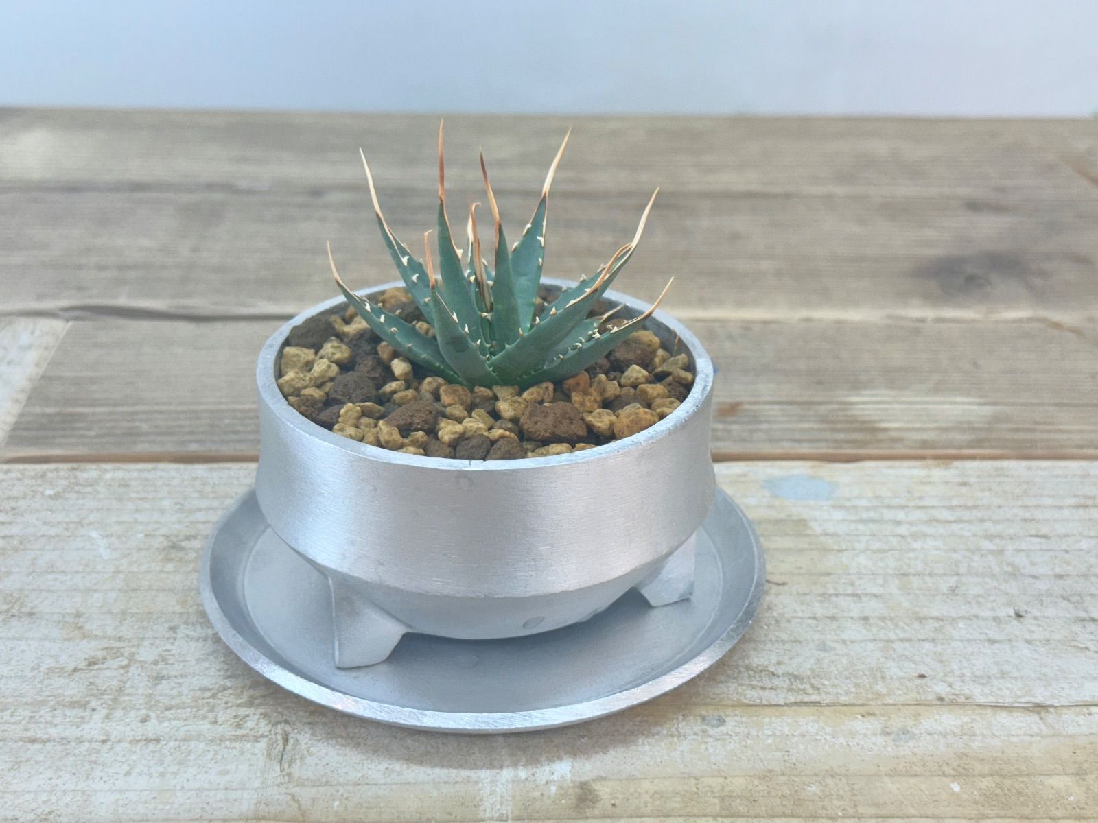 真作/六合庵久田宗全/長良宗全/達磨図/江戸幕末/布袋屋掛軸HB-295/ だ