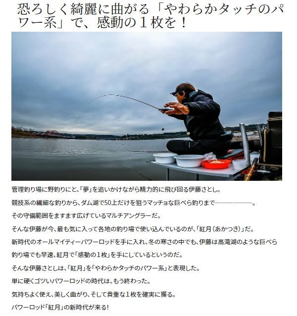 紅月 16．5 - メルカリ