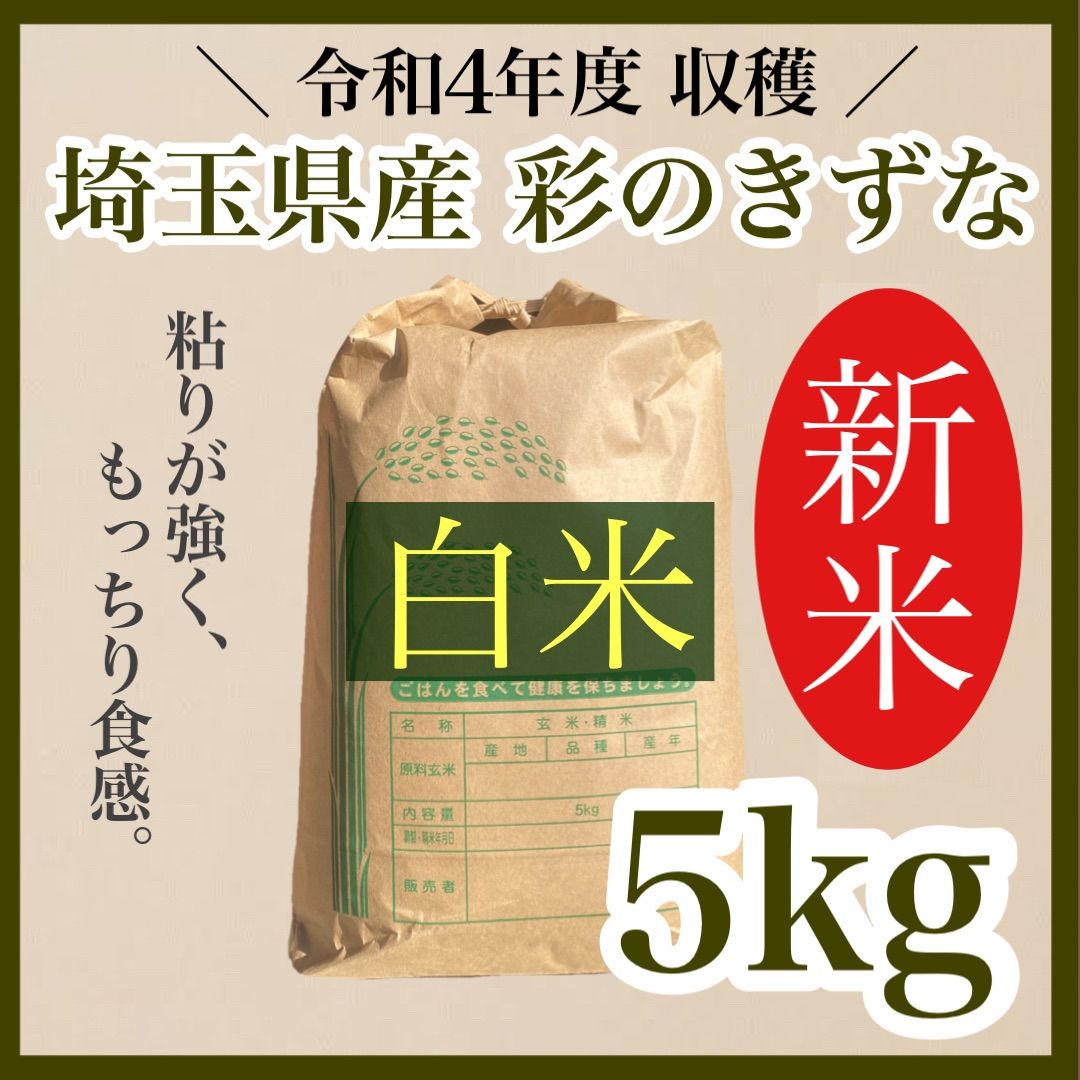 白米　5kg 彩のきずな　新米　埼玉県産　令和5年産　送料無料　米　5キロ