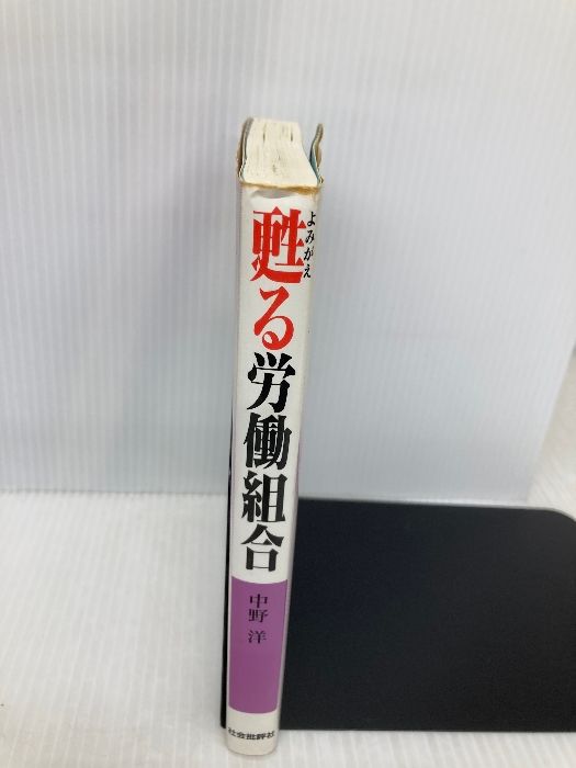 新泉社 中野洋