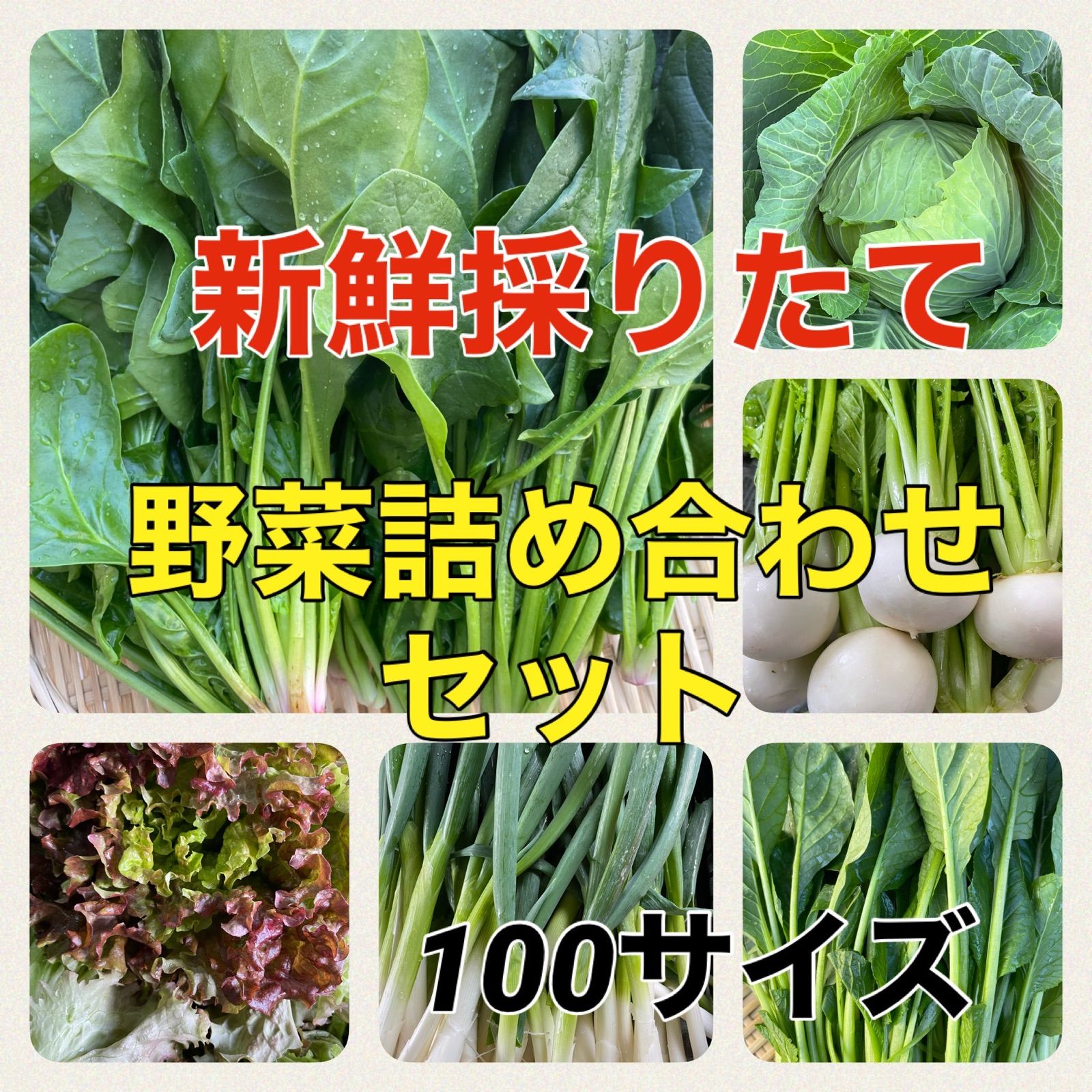 JUNKO様専用定期便‼️100サイズ野菜詰め合わせ➕こだわり玉子2P✖︎ は