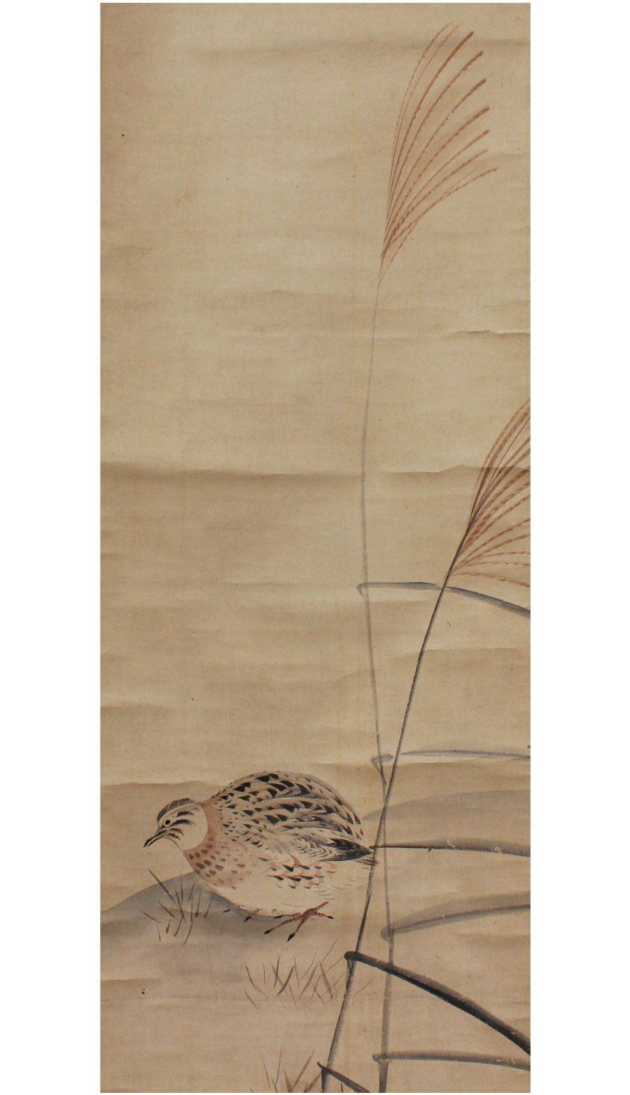￼￼￼￼松村景文筆 雁双幅図 絹本彩色画 右（飛雁）左（川柳雁） D20-059_松村景文_花鳥十二ヶ月