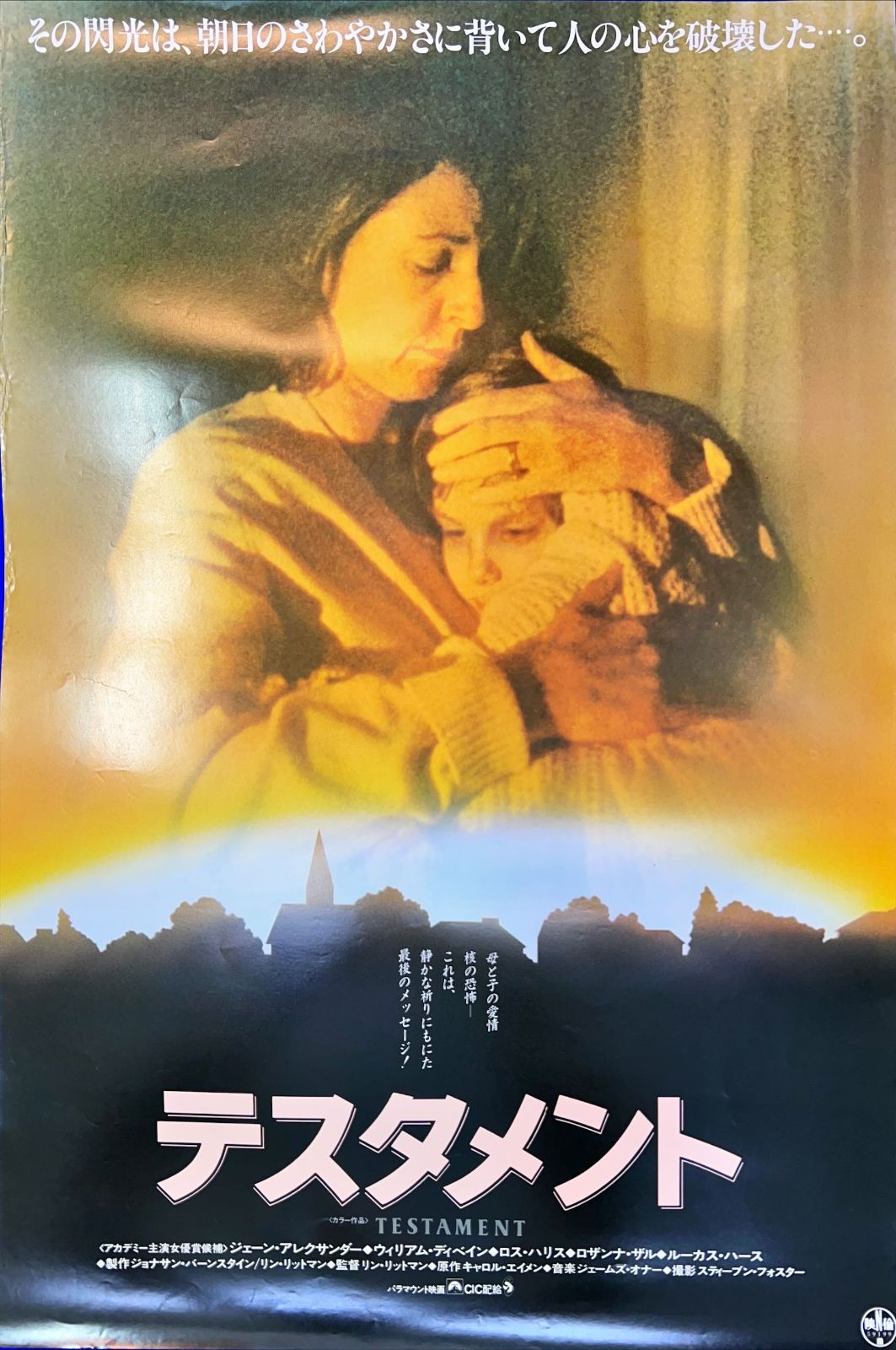 id『テスタメント』映画B2判オリジナルポスター id04721 ジェーン