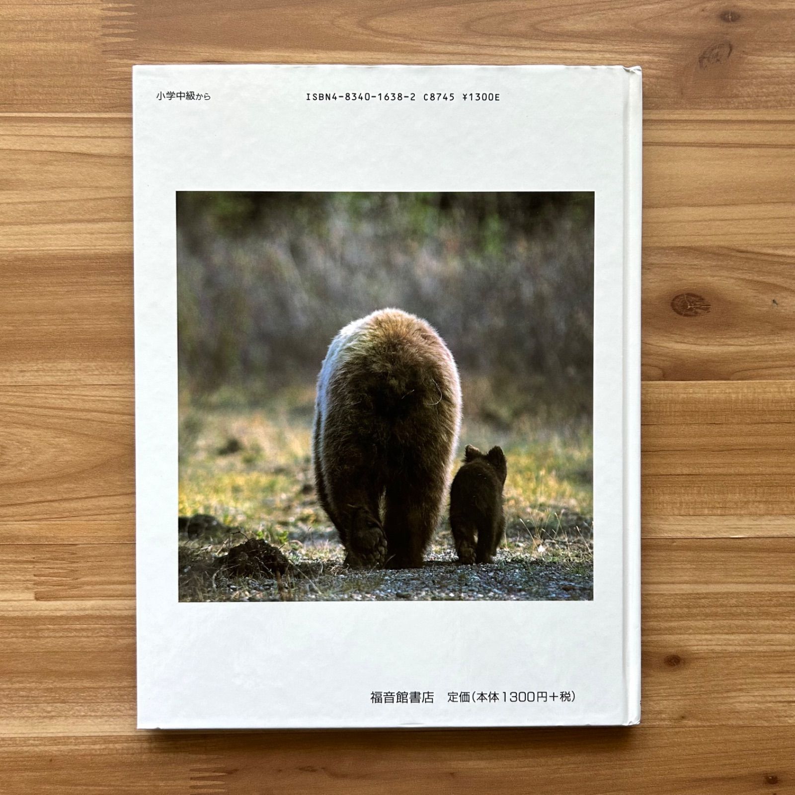 たくさんのふしぎ　アラスカ　クマよ　星野道夫　福音館 クマよ｜福音館書店