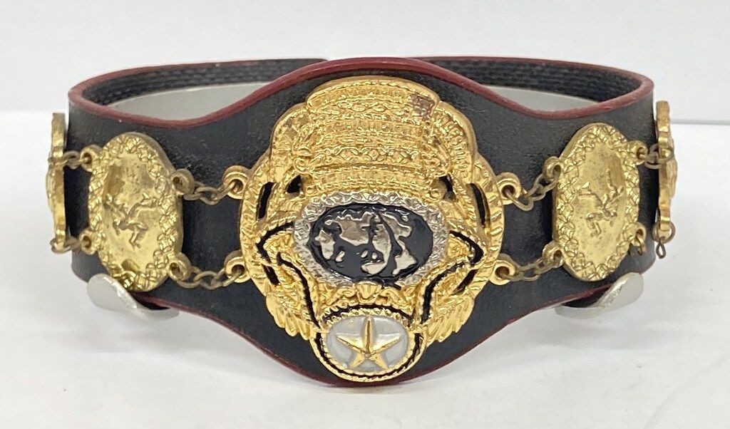 全日本プロレス　チャンピオンベルト ノーマル全10種セット　マイスタージャパン 全日本プロレス チャンピオンベルト ノーマル全10種セット マイスター