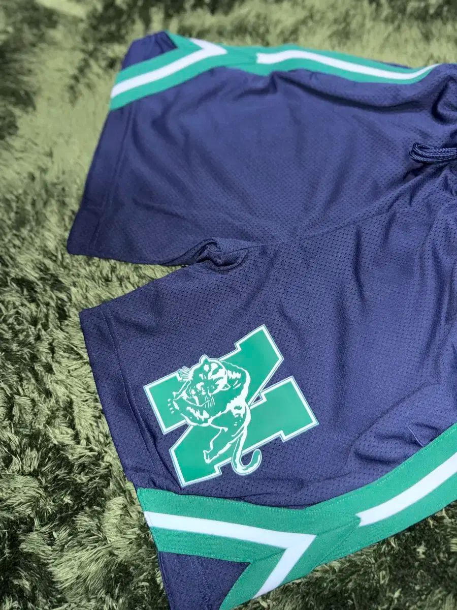 X PUMA