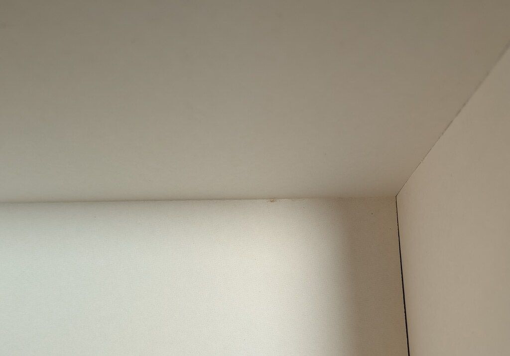 アニメDVD はれときどきぶた DVD BOX