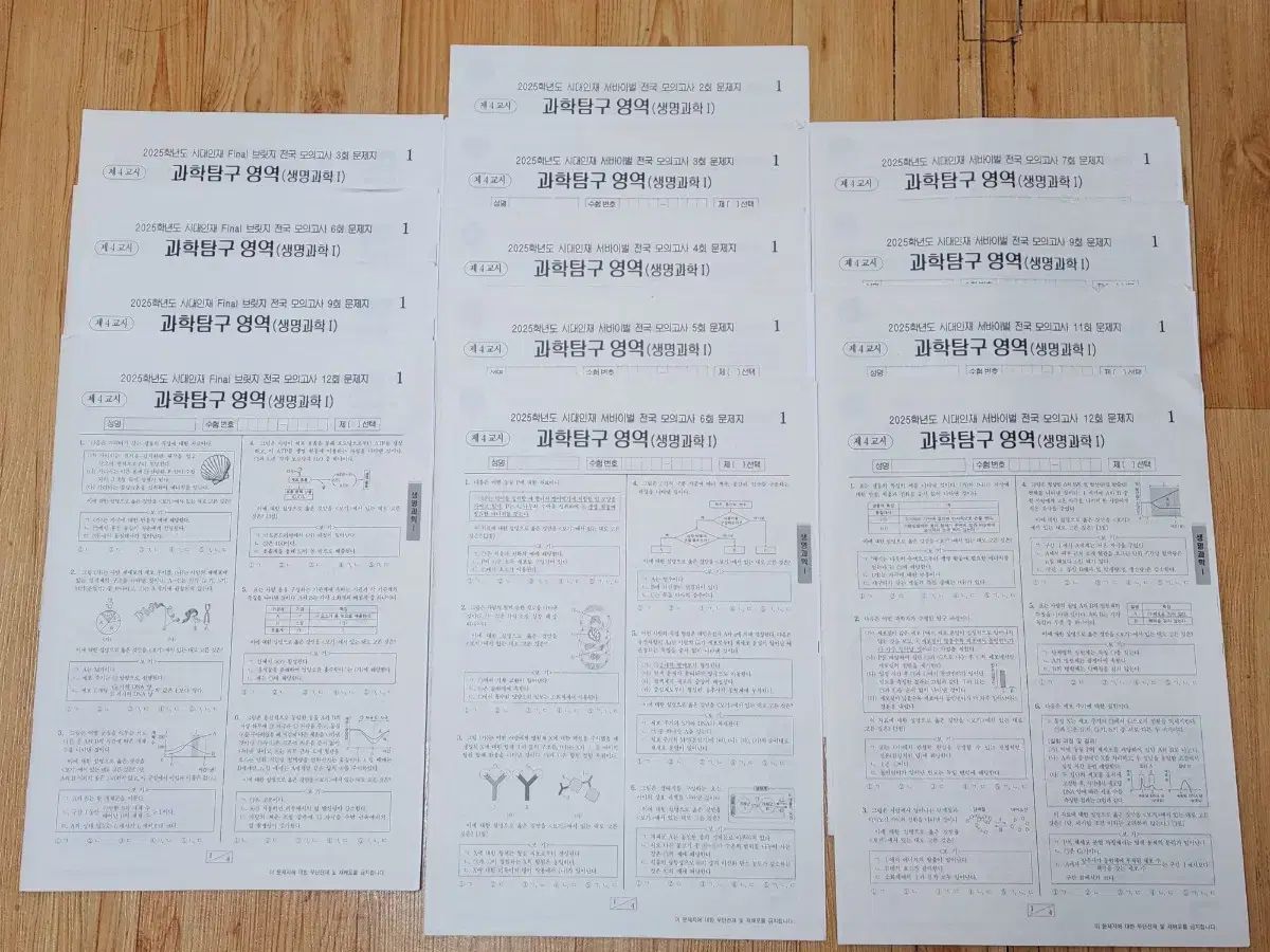 の本 時代人材 2025 生命科学 模擬試験 叢 13 セット