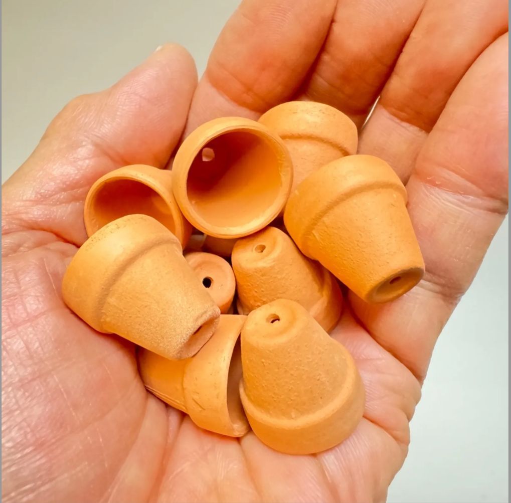 中型 ソテツ テラコッタ鉢 中型 ソテツ テラコッタ鉢 中型 ソテツ テラコッタ鉢 ソテツ