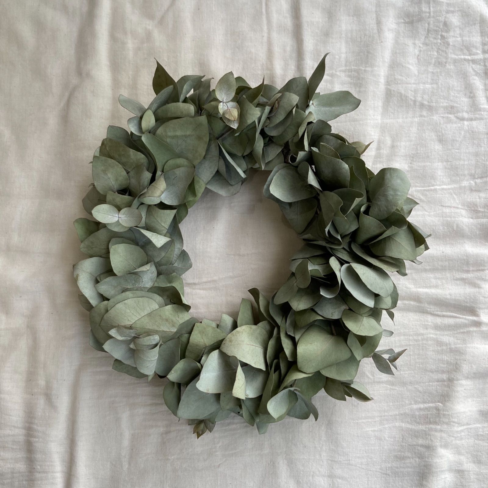 ユーカリグリーンリース　銀世界　35cm フレッシュ ユーカリ 銀世界 リース | PLANTS SHOP OLIVE