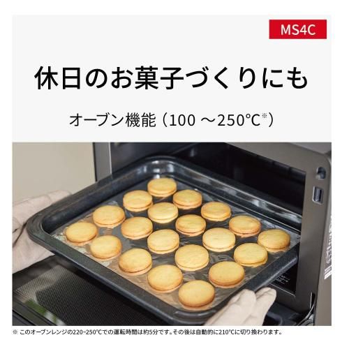 NE-MS4C-K