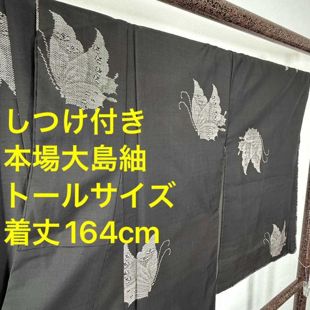 しつけ付 和装 着物 袷 紬 本場大島紬 黒 蝶柄 白 赤 164 トール