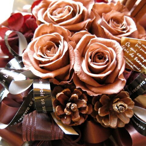 誕生日プレゼント 茶色系 大人かわいい ブラウン系 プリザーブドフラワー ケース付き プリザーブドフラワー ◆誕生日プレゼント 記念日の贈り物におすすめのフラワーギフト