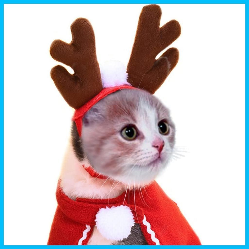 ❤️大人気❤️猫 犬 ハロウィン 帽子 マント セット ペット用 仮装 コスプレ
