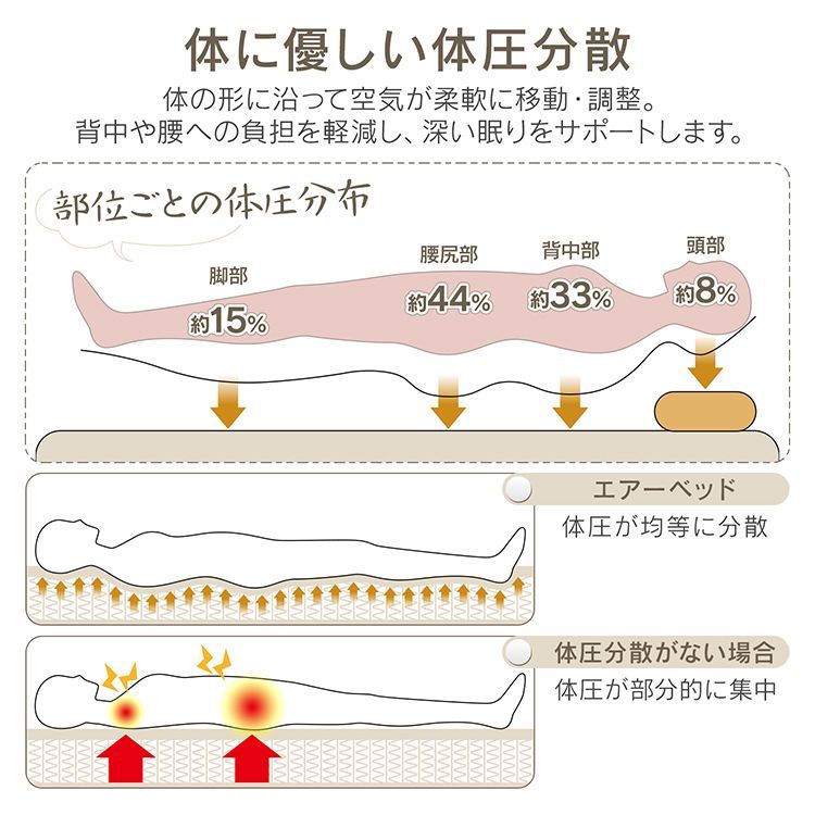 普段使い 来客