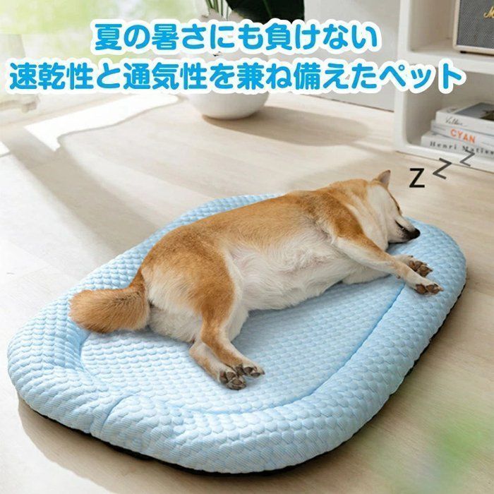 ペット