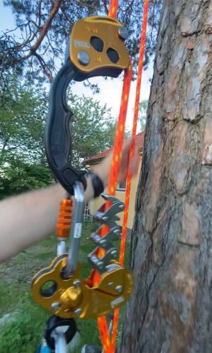 PETZL ジグザグ+ アーボリスト ツリークライミング 造園 PETZL ジグザグ+ アーボリスト ツリークライミング 造園