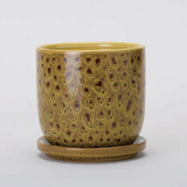 花 観葉植物用ポット クヴェタ 11 Y Ceramic POT 4個入り 40198 底穴あり 受皿付き 代引き不可 小型ポット FARM p62