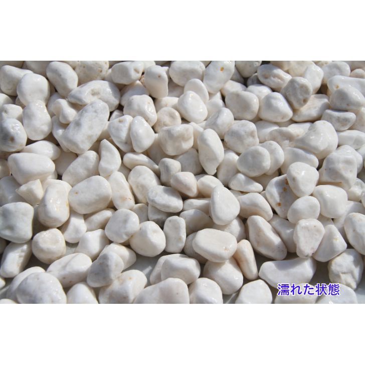 玉砂利5サイズ 2分