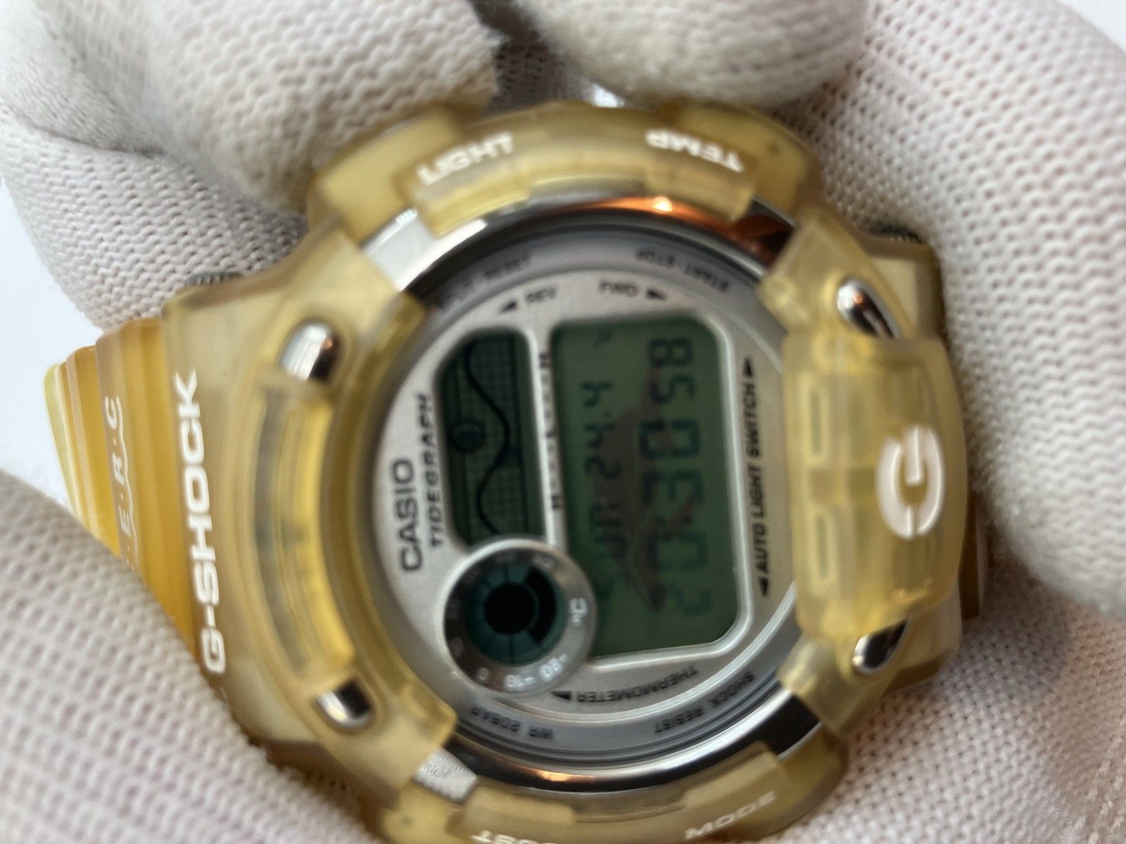 カシオ G-SHOCK DW-8600K イルカ・クジラ会議モデル 腕時計 チタン裏蓋