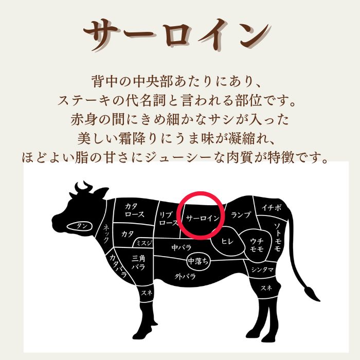 到着日指定可能☆お祝・お礼等のギフトに☆黒毛和牛A5 サーロイン