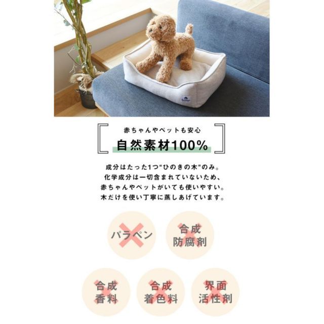 6pC45280 新生活