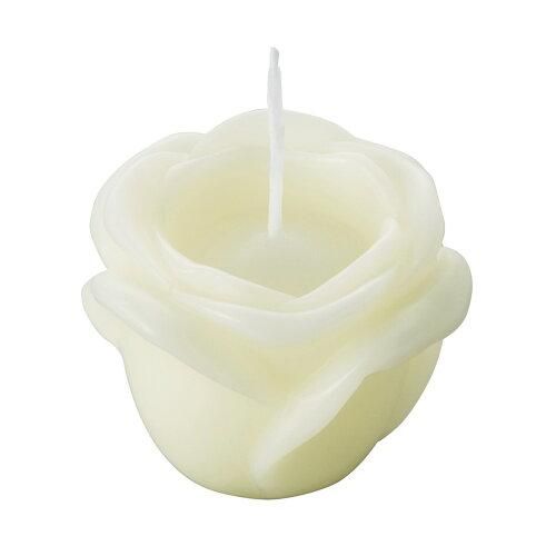 【新品・3営業日で発送】ラビアンローズ Nアイボリー B60190000IV (163-6019000-8)【入数:6】