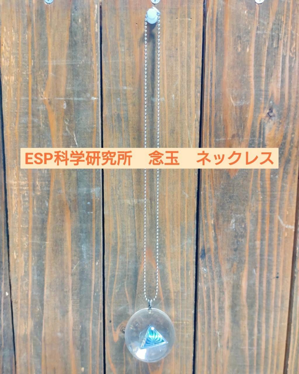 ESP 念玉 ESP科学研究所 念玉 6個セット＋大漁袋1