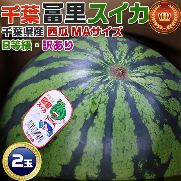 お中元 冨里スイカ 千葉県産 富里すいか B等級(訳あり) MAサイズ 5～6kg × 2玉セット お買得アウトレット 11610393-8 初夏ギフト 遅れてごめんね父の日 ギフト プレゼント 国産 果物 フルーツ 国内産