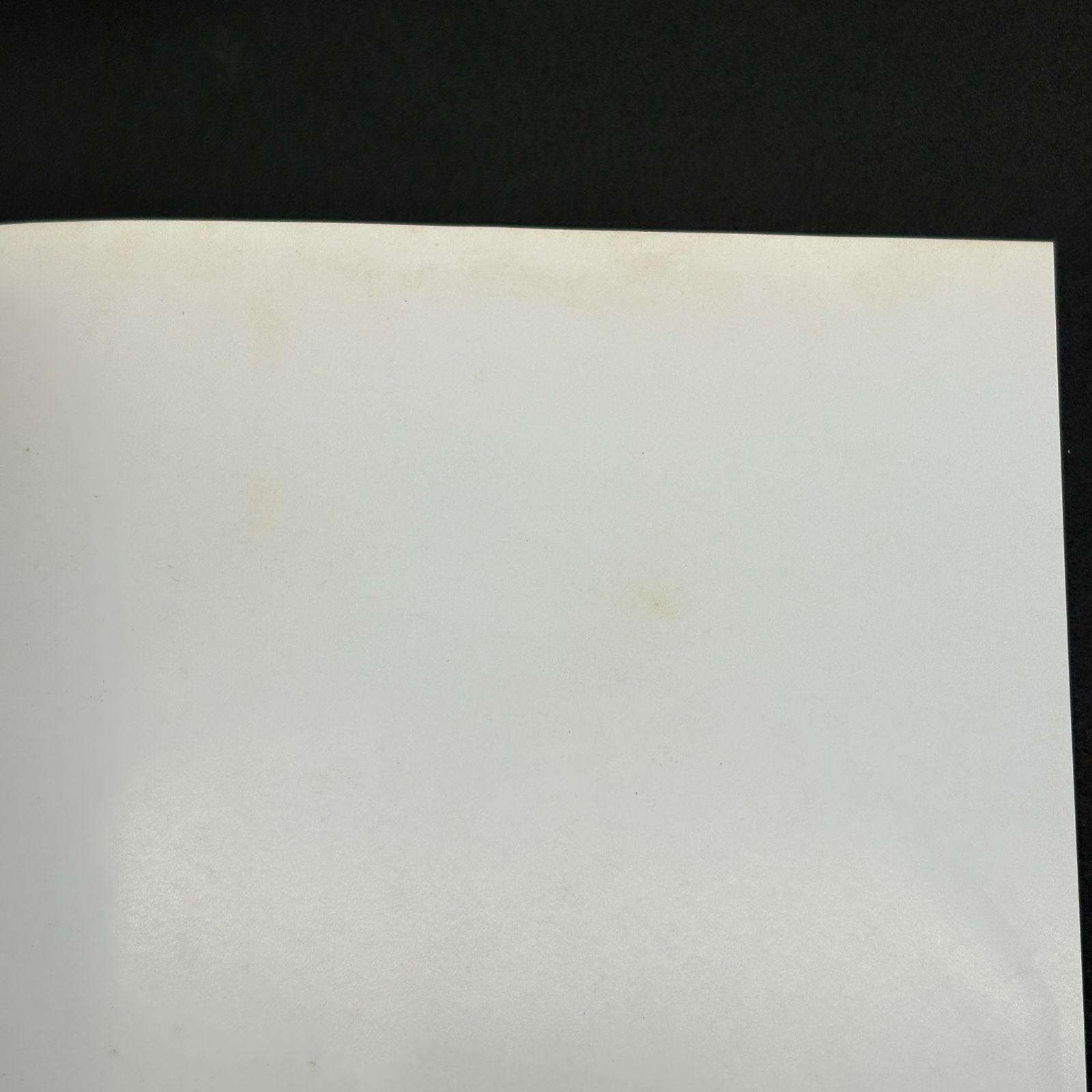 ヴァーチャル ビュー