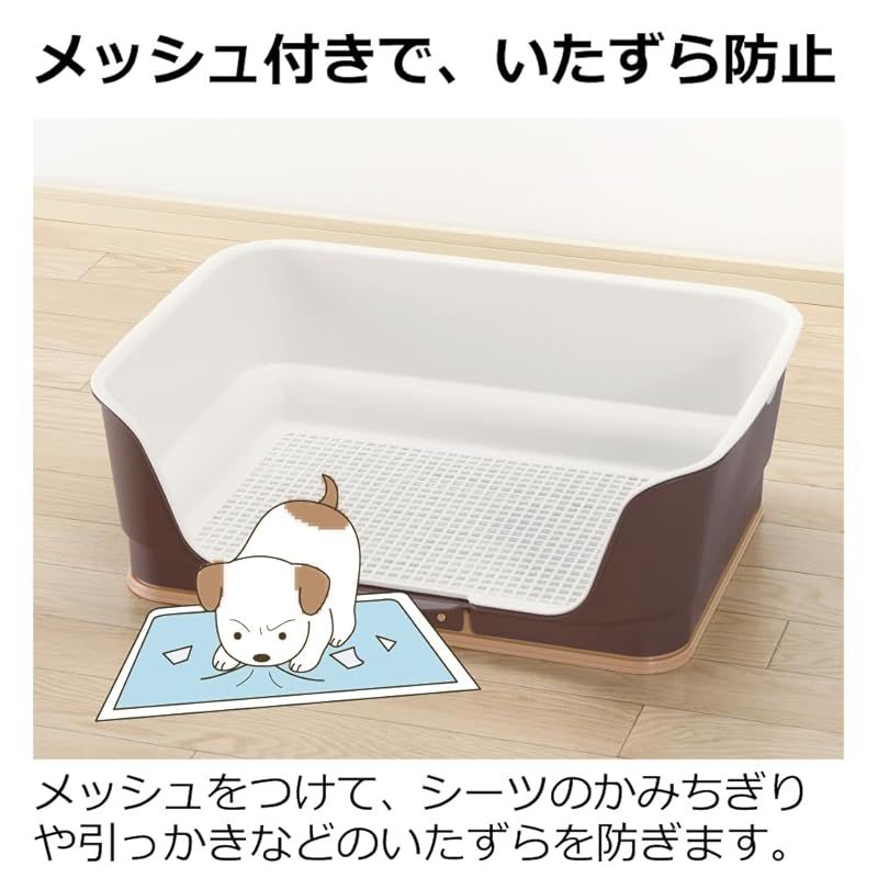 アイボリー ワイド