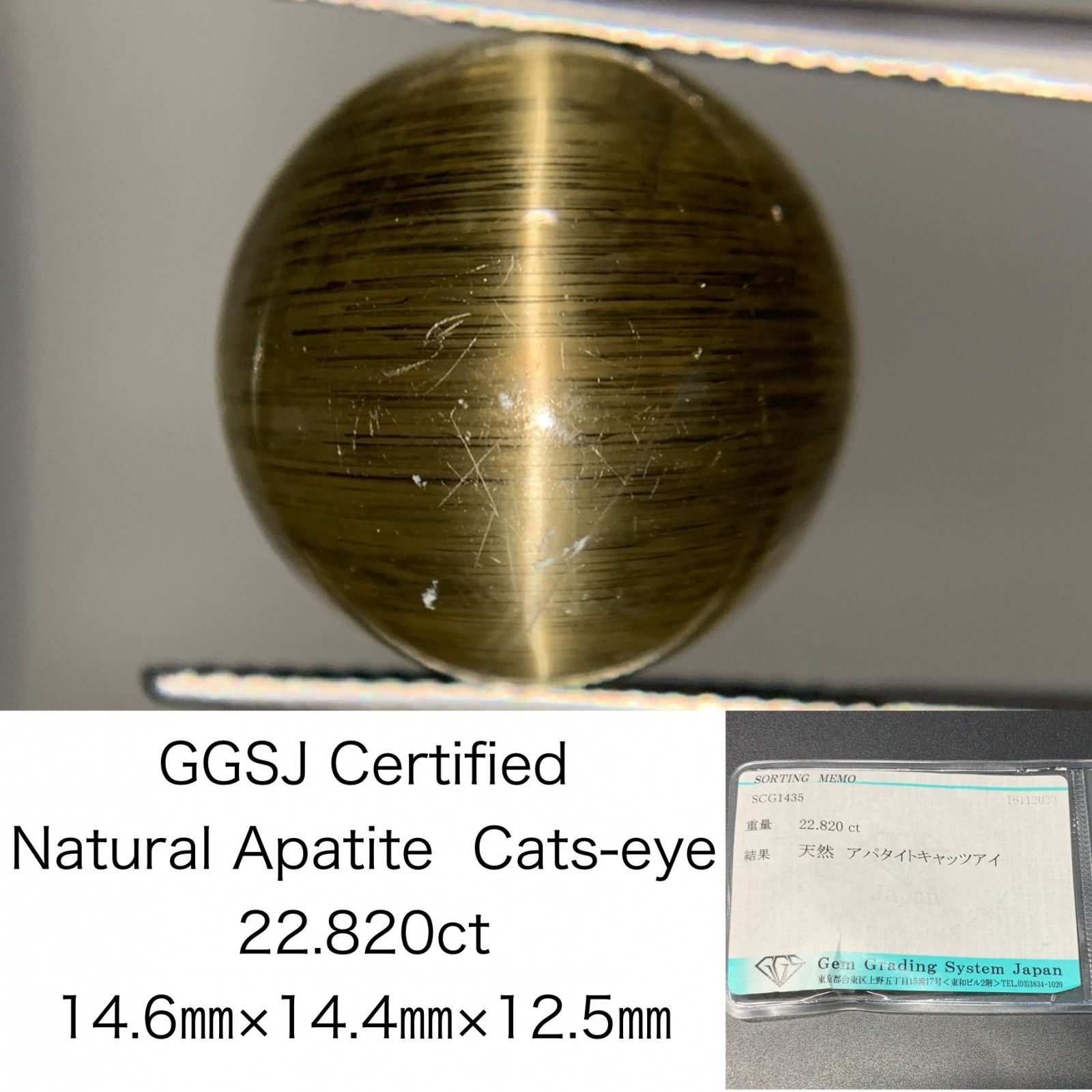 アパタイトキャッツアイ 22.820ct 宝石ソーティング付き  14.6×14.4×12.5  ルース（ 裸石 ） 2838Y