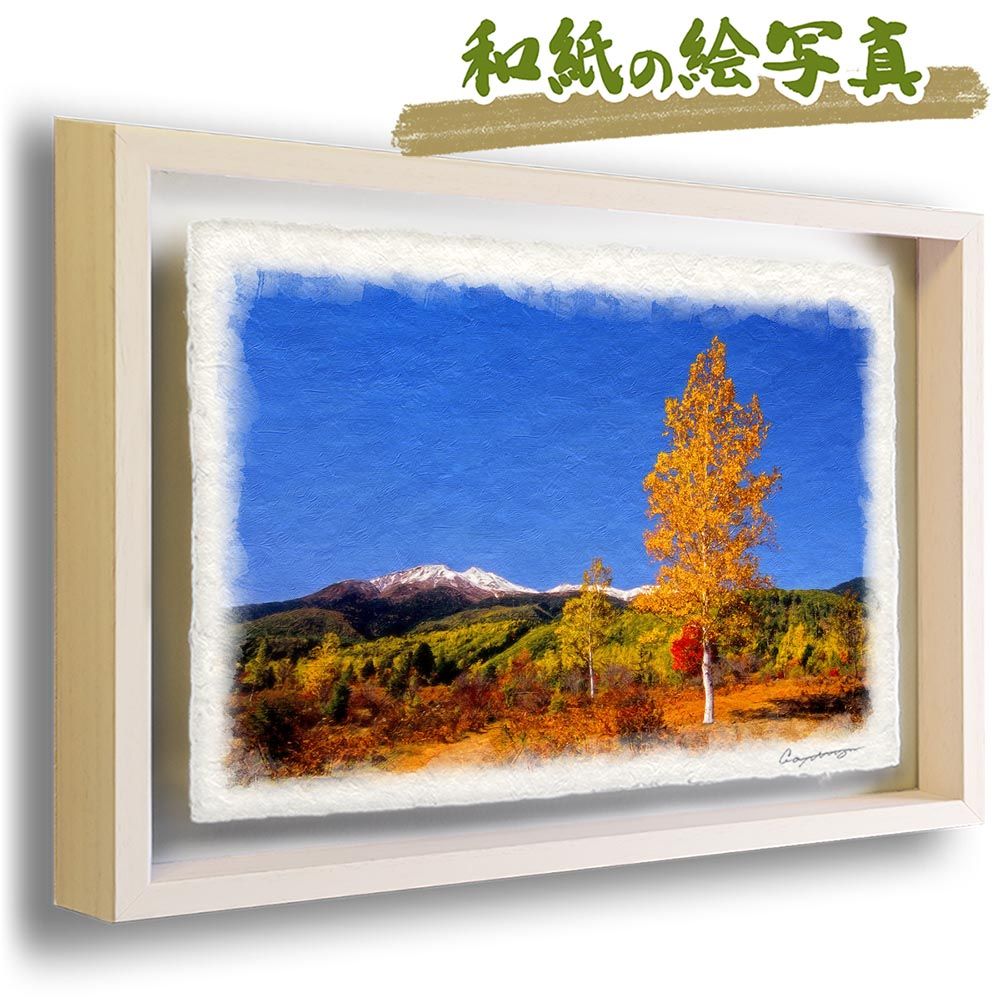 和紙の絵写真 「初冠雪の乗鞍岳と黄葉の白樺」 立体額縁付き 31x23cm
