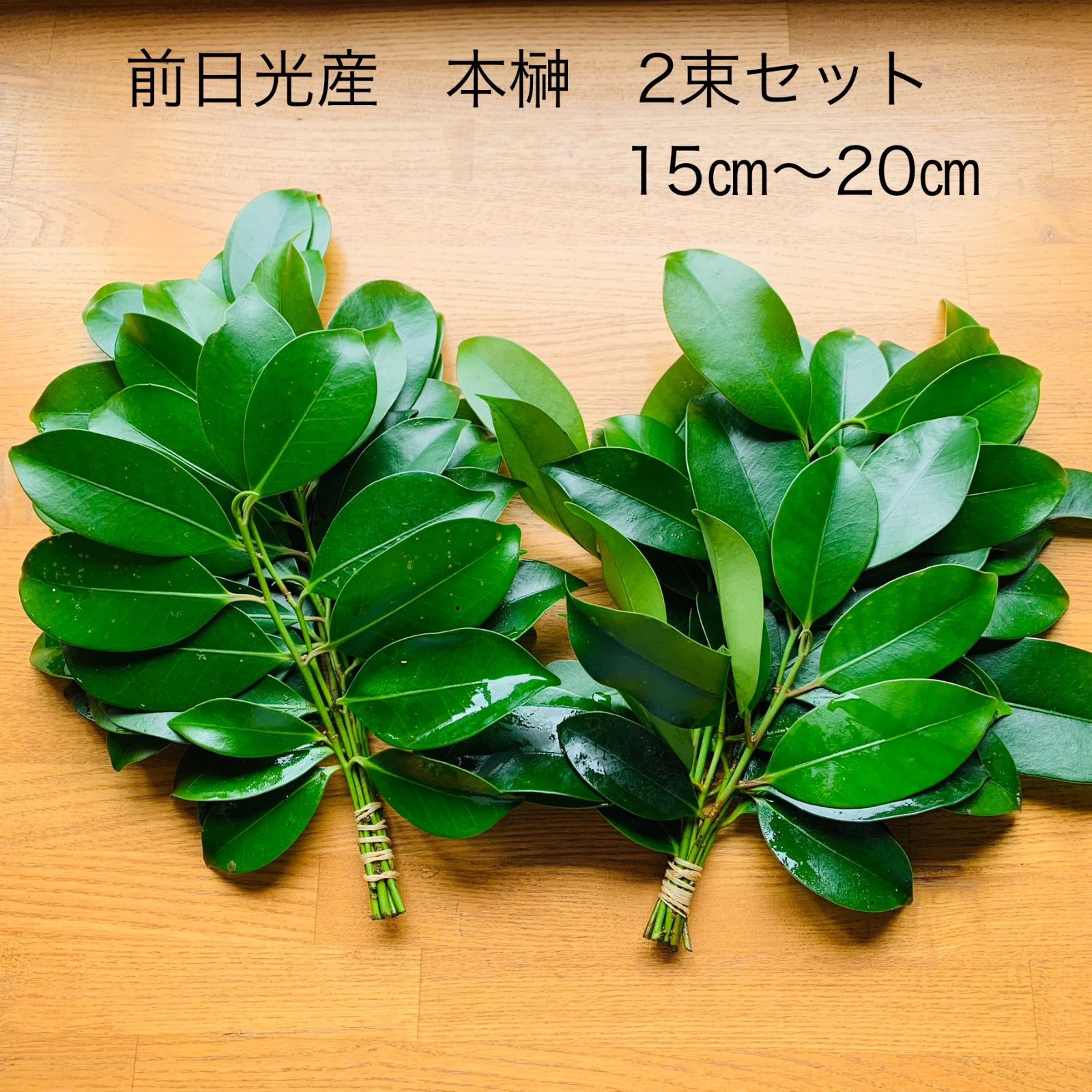 榊 本榊、真榊(100束分) 榊 本榊、真榊(100束分)