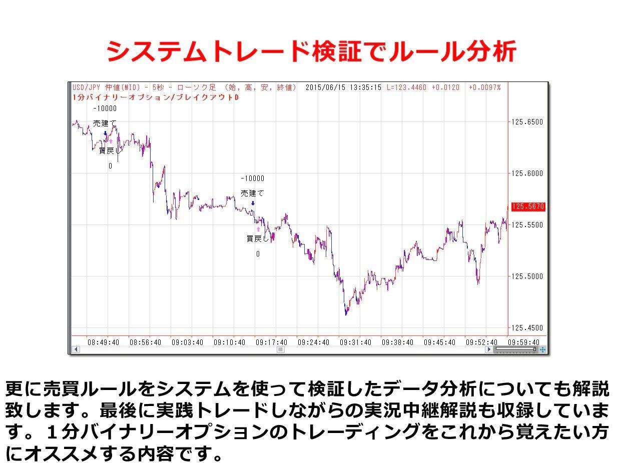 1分バイナリーオプション ブレイクアウト手法 - IAX研究所 - メルカリ