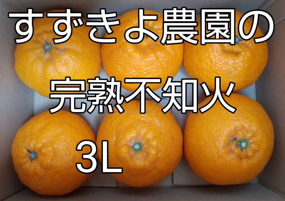 完熟不知火（デコ）　サイズ混合　箱込み約約５kg